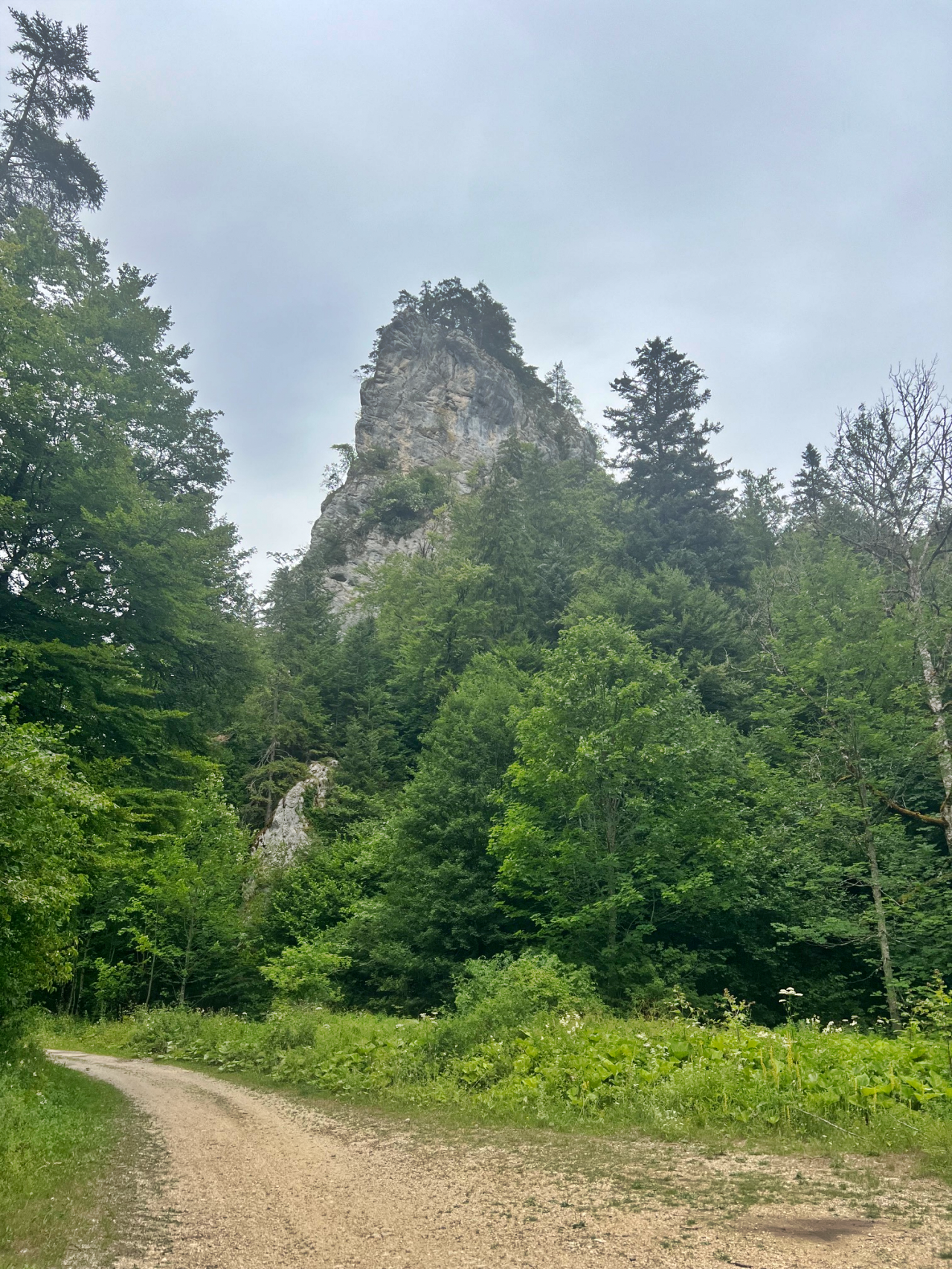 Felsen in der Schlucht des Tabeillon